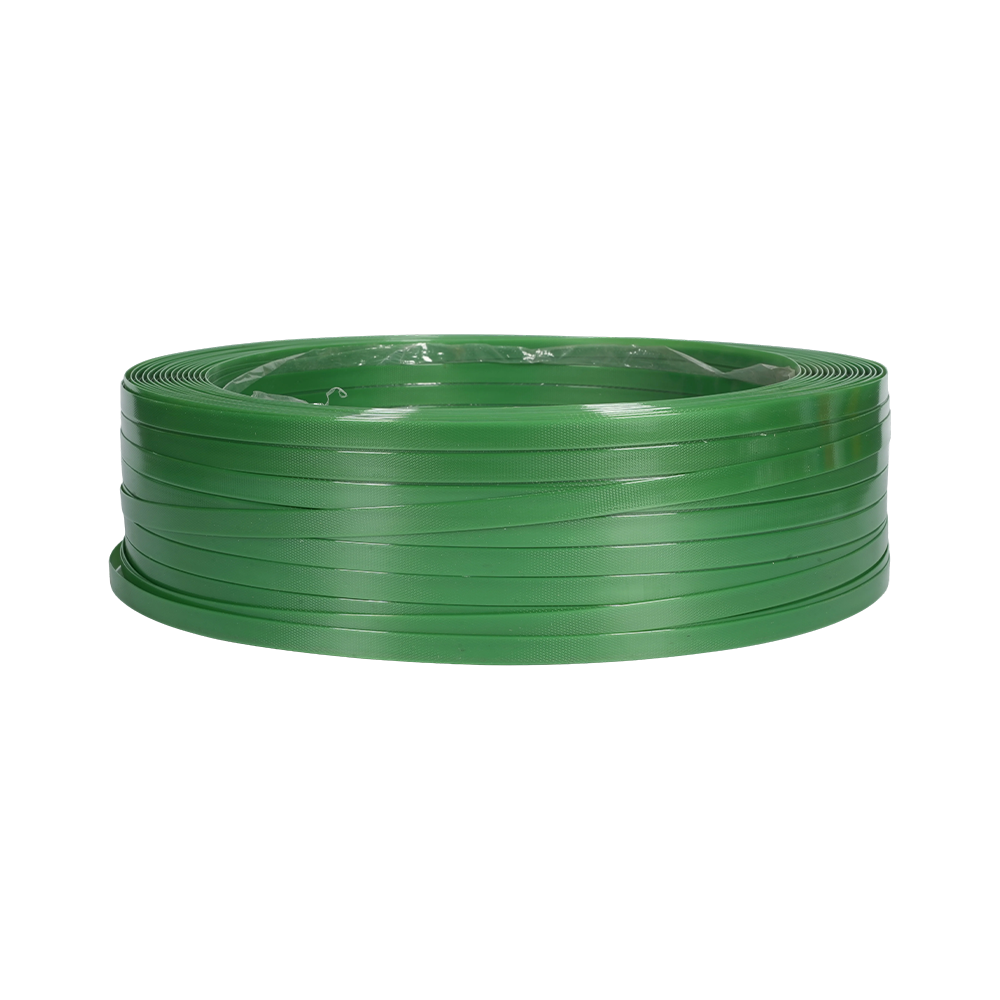 Ceinture en acier en plastique transparente portative 1608/1610/1910/2512 P+E+T